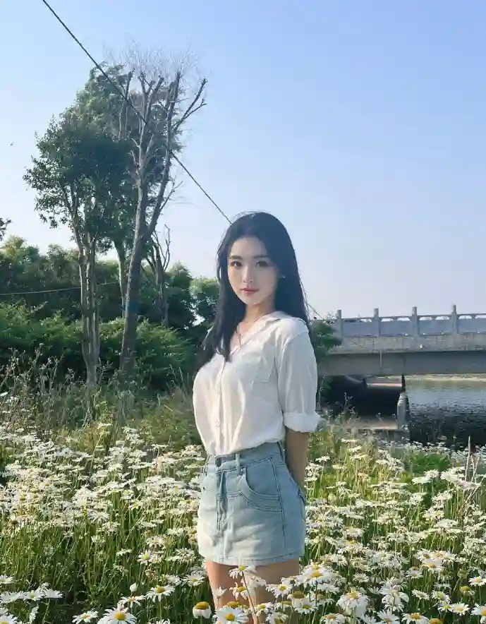 斩龙 下载小说封面